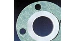 PTFE Amplop Gasket