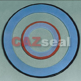 PTFE Amplop Gasket