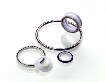 PTFE Seal, Musim Semi diberi energi Teflon Seal, Teflon Rotary Seal, PTFE Static Seal